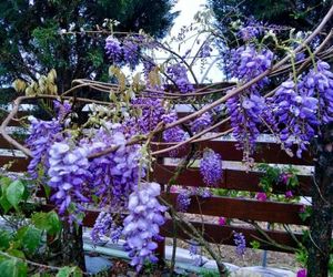 Hua Mu Xing Jing B&B Ren-ai Township Taiwan