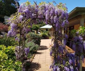 Gumtree House Montville Montville Australia
