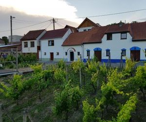Vinný sklep Kraví Hora Bořetice Boretice Czech Republic