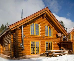 Luxus-Ferienhaus Blockhaus Chalet Nr. 3 mit Sauna, Fussbodenheizung im EG, Kamin, zentral in Feldberg-Ort Feldberg Germany