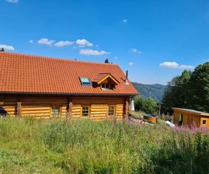 Feldberg Chalet Feldberg Germany