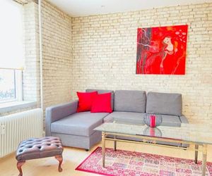 Central cozy and bright apartment Aalborg Denmark