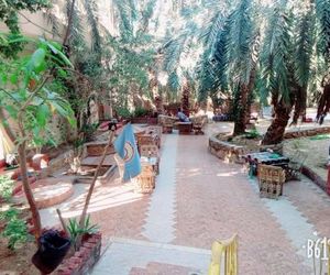 Palm Trees Hotel Siwah Egypt
