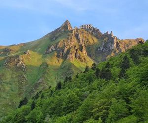 chalet chamois n°25 Mont-Dore France