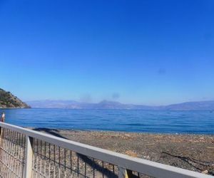 Palm tree house by the beach Loutraki Greece