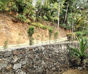 Sutrisno Homestay Kejayan Indonesia