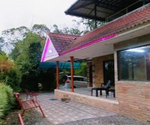 Butterfly Cottage Vagamon India