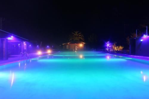 صورة الفندق 8