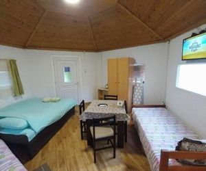 Petkovic Apartmani Tivat Montenegro