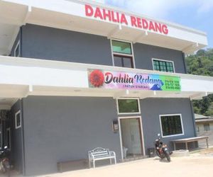 Dahlia Redang Redang Island Malaysia