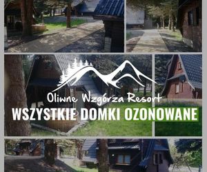 Oliwne Wzgórza Kletno Poland