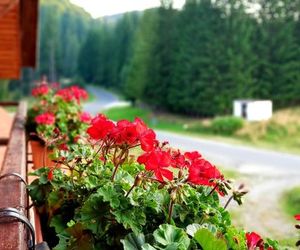 Top Mountain Poiana Brasov Romania