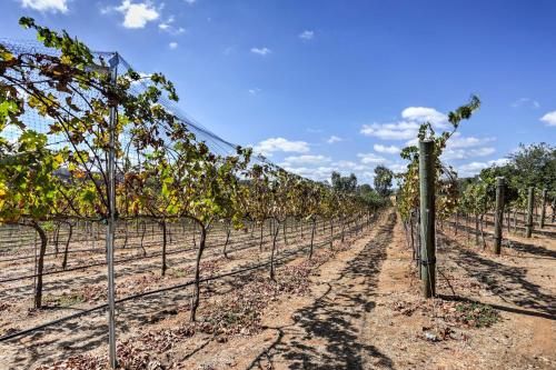 Photo of Escondido Home on 6-Acre Vineyard Estate with Views!