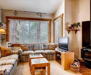 Ski-in/Ski-out Northstar Condo near Lake Tahoe! Truckee United States