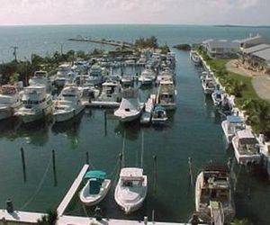 LICENSED MGR - 2/2 VILLA - OCEANFRONT BEACH RESORT - SALTWATER LAGOON & MARINA! Key Largo Island United States