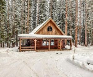 Forest Cabin McCall United States