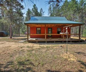 Private South Boardman Cabin on 10 Forest Acres! Kalkaska United States