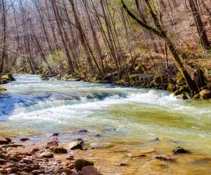 A Water Fall Retreat (New Listing) Cove Creek Cascades United States