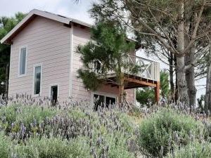Villa Alba Punta del Diablo Uruguay