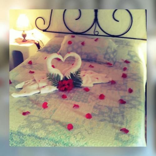 صورة الفندق 2