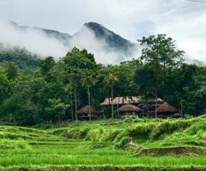 Lua Pu Luong Mai Chau Vietnam