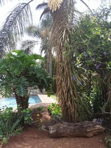 صورة الفندق 16