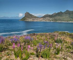 Beach Club Villa Hout Bay Hout Bay South Africa