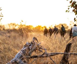 Simbavati Trails Camp Thornybush Game Reserve South Africa