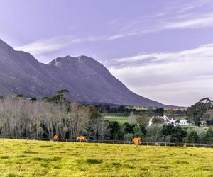 Hemel N Aarde Stud Hermanus South Africa