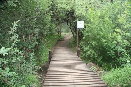 صورة الفندق 7