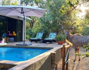 Loerie Escape Marloth Park South Africa