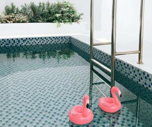 Surabaya Private Pool & Guest House @kolamkeluarga Surabaya Indonesia