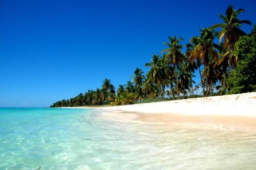 صورة الفندق 23