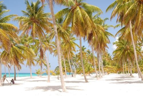 صورة الفندق 4