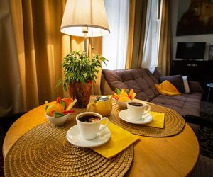 Cozy studio in the center Minsk Belarus