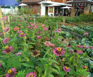 Nan Sukkho Homestay(All 5 room) Nan Thailand