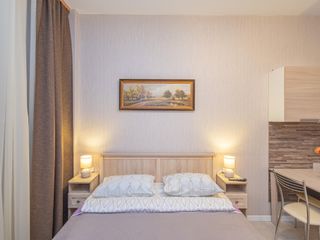 Optimal apartment for business people.
