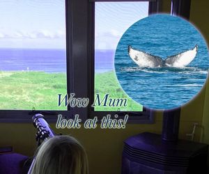 Stunning 270 Degree Ocean Views - Pure Luxury! Phillip Island Australia