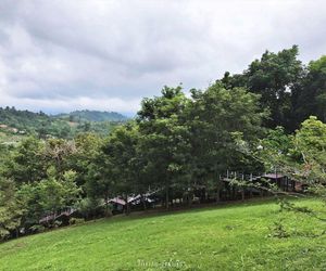 (Bullfrogfarm) HillSide 3 Ban Kom Thailand