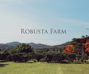 Robusta Farm #3 Ban Khanon Thailand