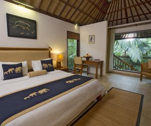 Elephant Safari Park Lodge Tegallalang Indonesia