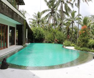 Room rice field view and swimming pool in Ubud Tegallalang Indonesia