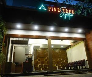Pine Tree Signature Chennai India