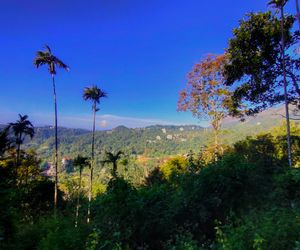 SKYES MUNNAR - ENTIRE PLANTERS BUNGALOW Munnar India