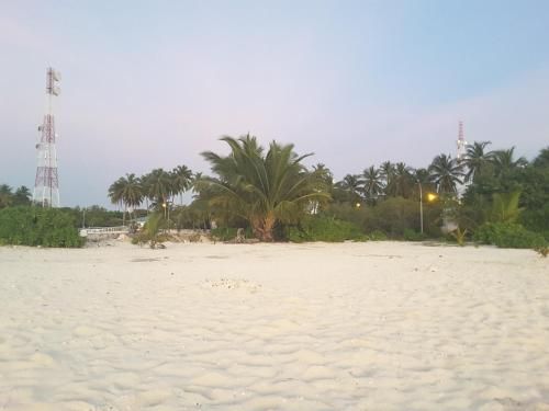 صورة الفندق 14
