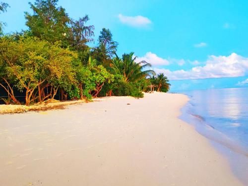 صورة الفندق 5