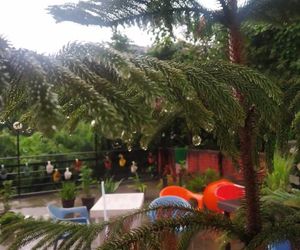 Orchid Hostel Rishikesh India