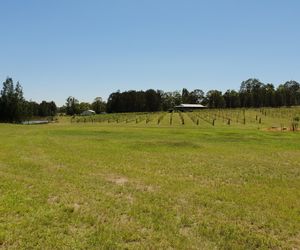 Casa Siena house on Vineyard Rothbury Australia