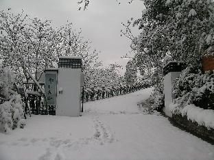 صورة الفندق 18