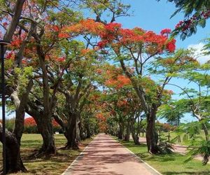 Villa Alexis Self Catering Trou aux Biches Mauritius